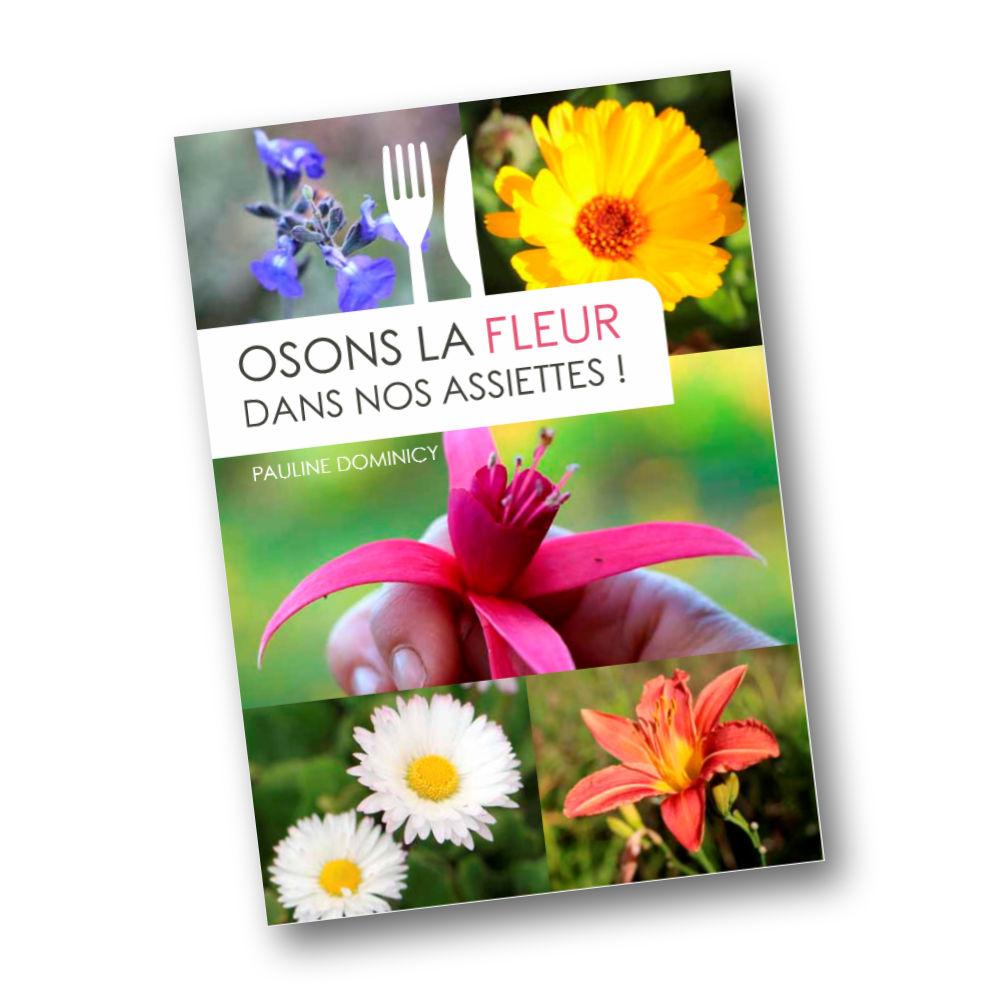 You are currently viewing Osons la fleur dans nos assiettes