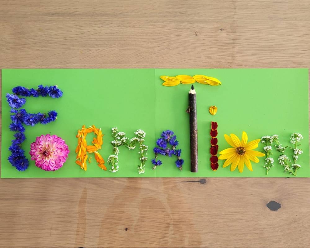 You are currently viewing Formation Plantes Comestibles – production biologique, transformation et commercialisation